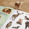 Schleich