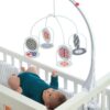 manhattan toy - wimmer furgeson