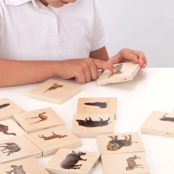 puslespil børn Wild animal family match fra Ticket