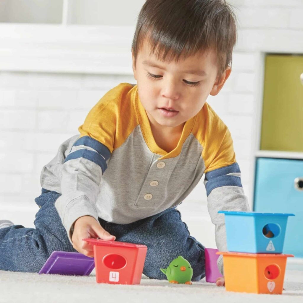 Peek-a-Bird Learning Buddies Learning resources