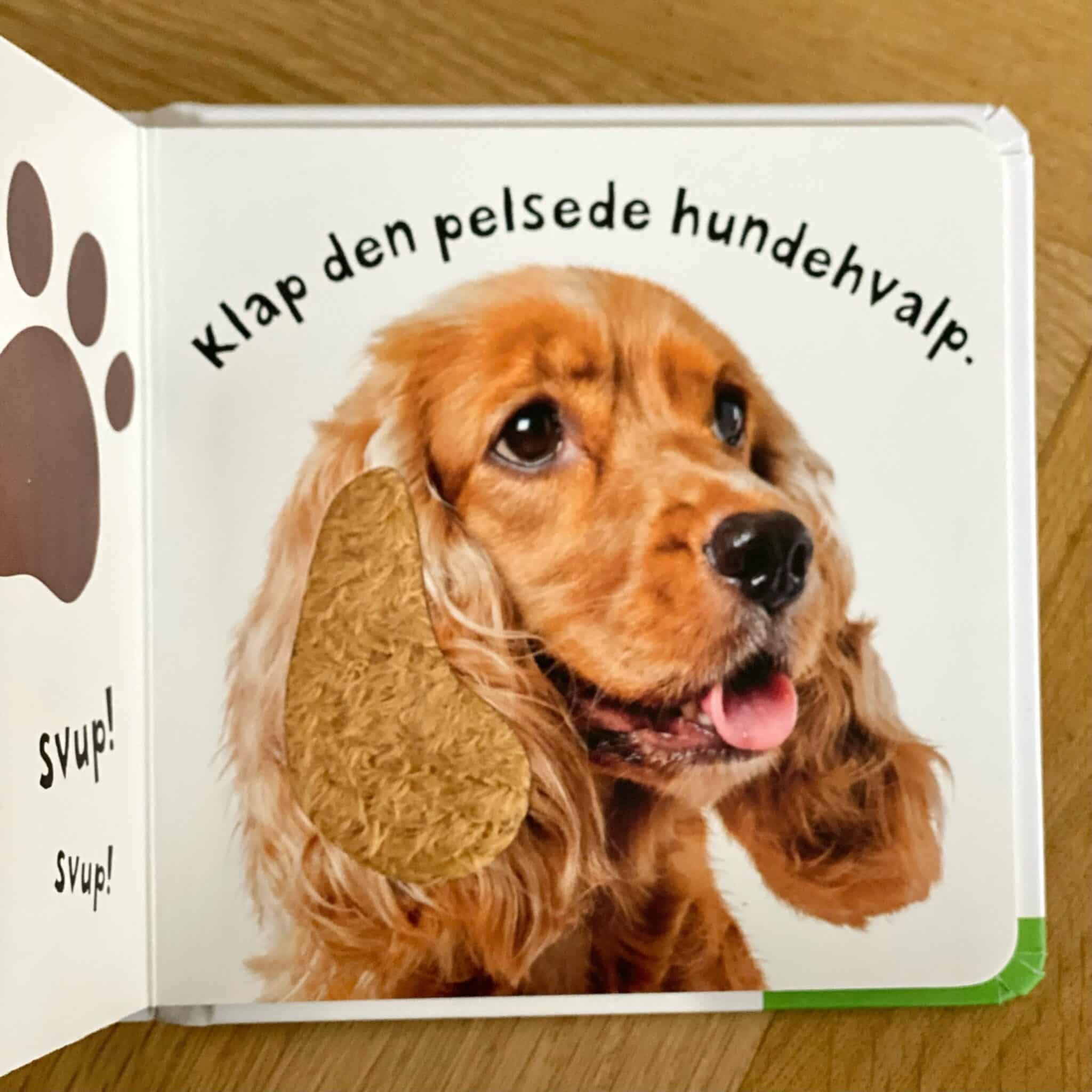 Se, rør og føl - Gård. Mais og Co