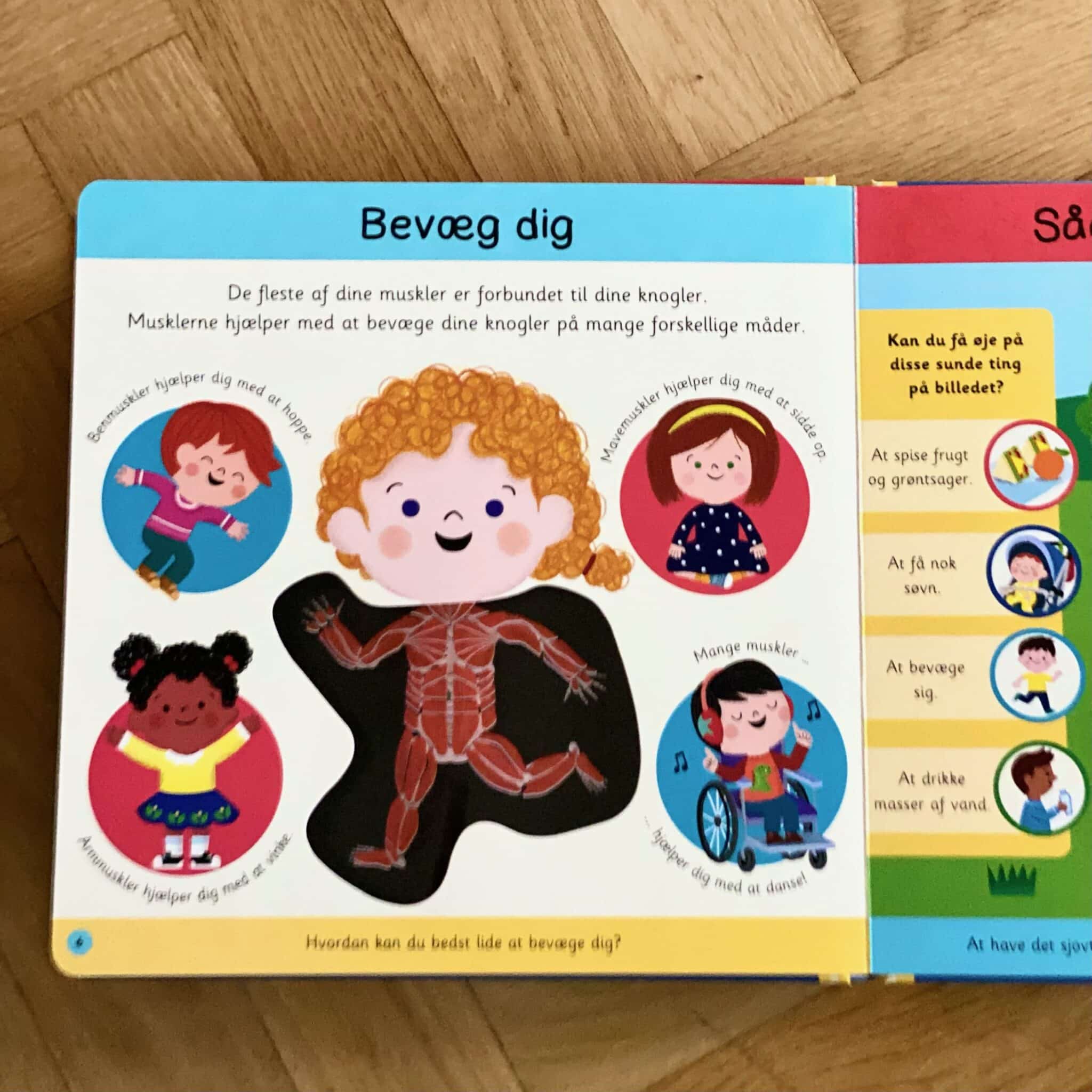 Min første bog om kroppen