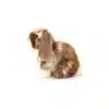 Teddy Hermann - Siddende kanin hvid-mørkebrun 20 cm