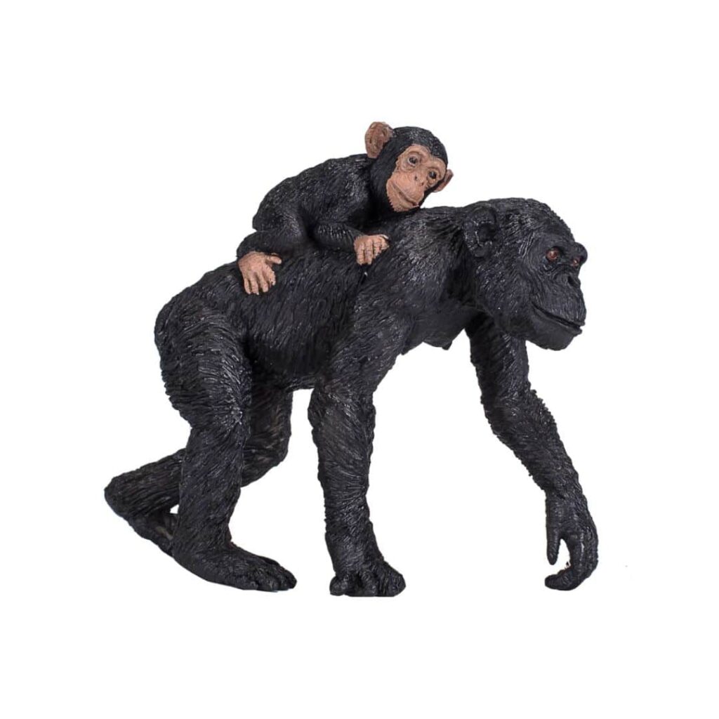 Chimpanse med unge