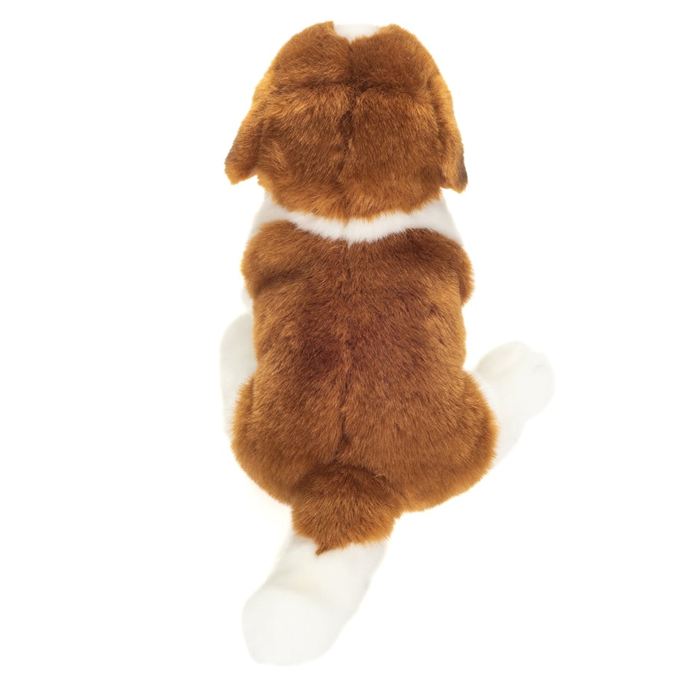 sankt bernhard teddy hermann