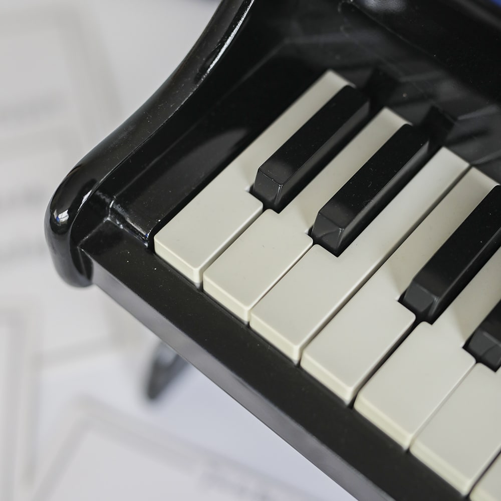 Vilac Piano Sort 32 cm 8296