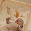 Little Dutch LD8410 Babygym Newborn