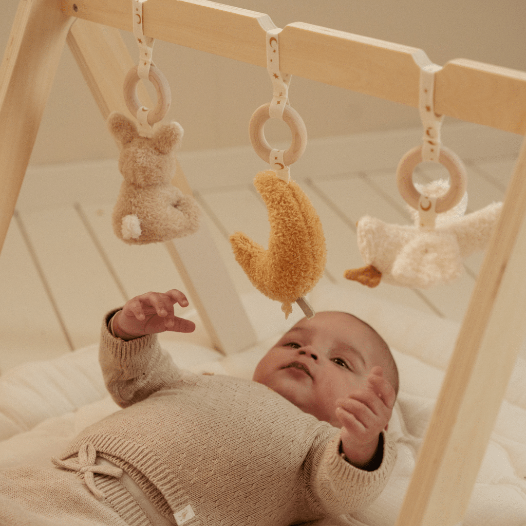 Little Dutch LD8410 Babygym Newborn