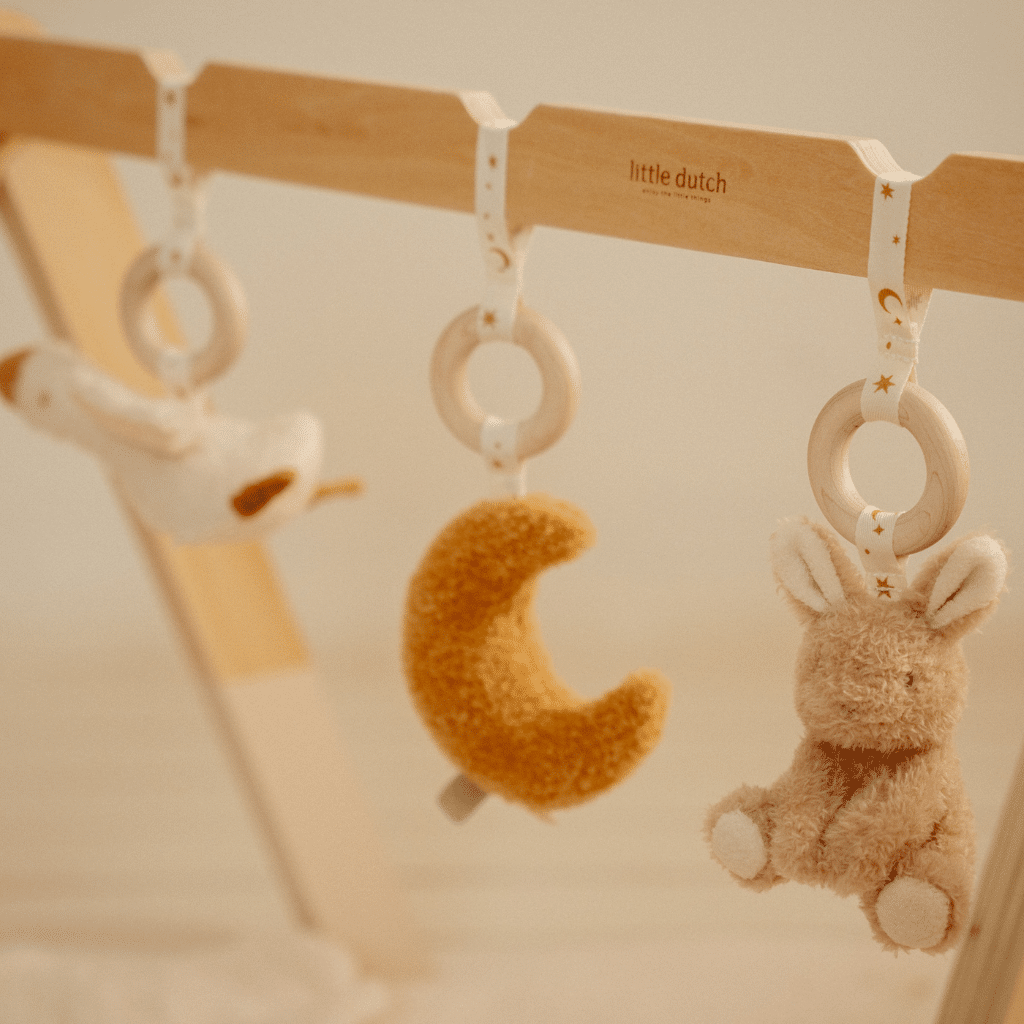 Little Dutch LD8410 Babygym Newborn