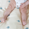 cam cam copenhagen 101-P84-000-DK Broderet Sengetøj, Baby, 70x100cm - GOTS - Dreamland