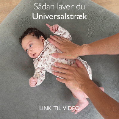 sådan laver du universalstræk - Sandra Schiller Monsen Basisøvelser