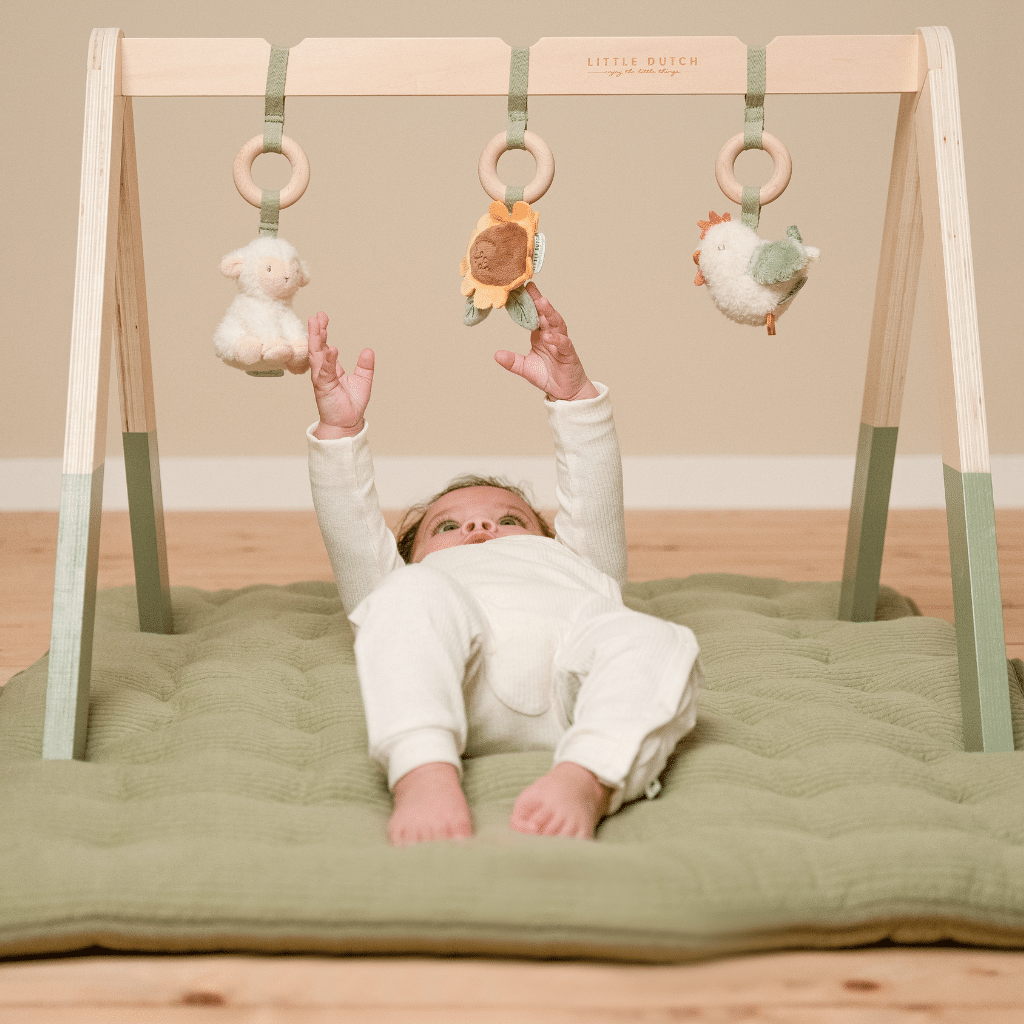Little Dutch - Babygym LD8810 Little Farm