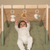 Little Dutch - Babygym LD8810 Little Farm