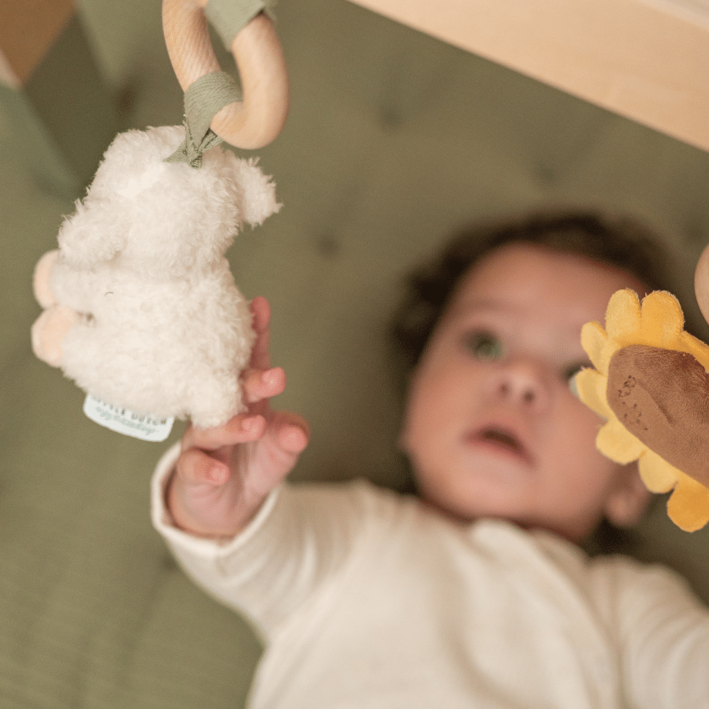 Little Dutch - Babygym LD8810 Little Farm