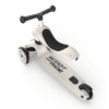 Scoot and Ride Highwaykick 1 Ash 96268