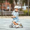 Scoot and Ride Highwaykick 1 Ash 96268