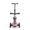 Scoot and Ride Highwaykick 1 Push and Go wildberry 00069