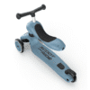 Scoot and Ride Highwaykick 1 Steel 96271