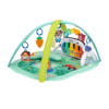 Baby Einstein 4-in-1 Musical Meadow aktivitetstæppe med musik