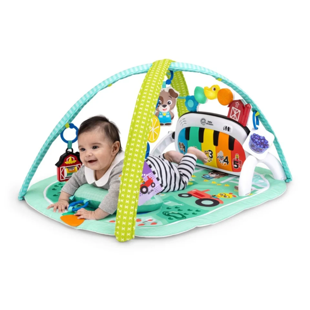 Baby Einstein 4-in-1 Musical Meadow aktivitetstæppe med musik
