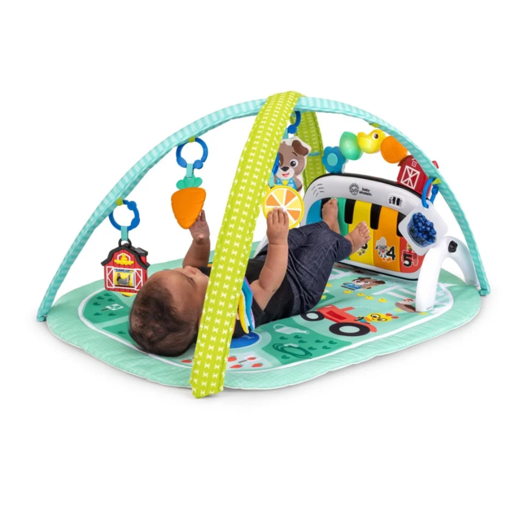 Baby Einstein 4-in-1 Musical Meadow aktivitetstæppe med musik