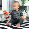 Baby Einstein - Aktivitetsranglen Cal
