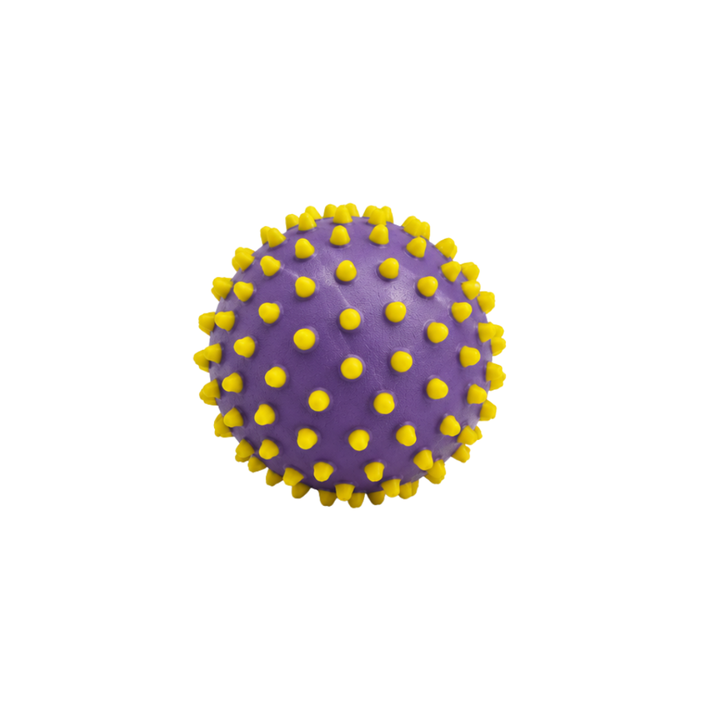 Senso-Dot Balls - Edushape 1 stk. 10 cm. lilla