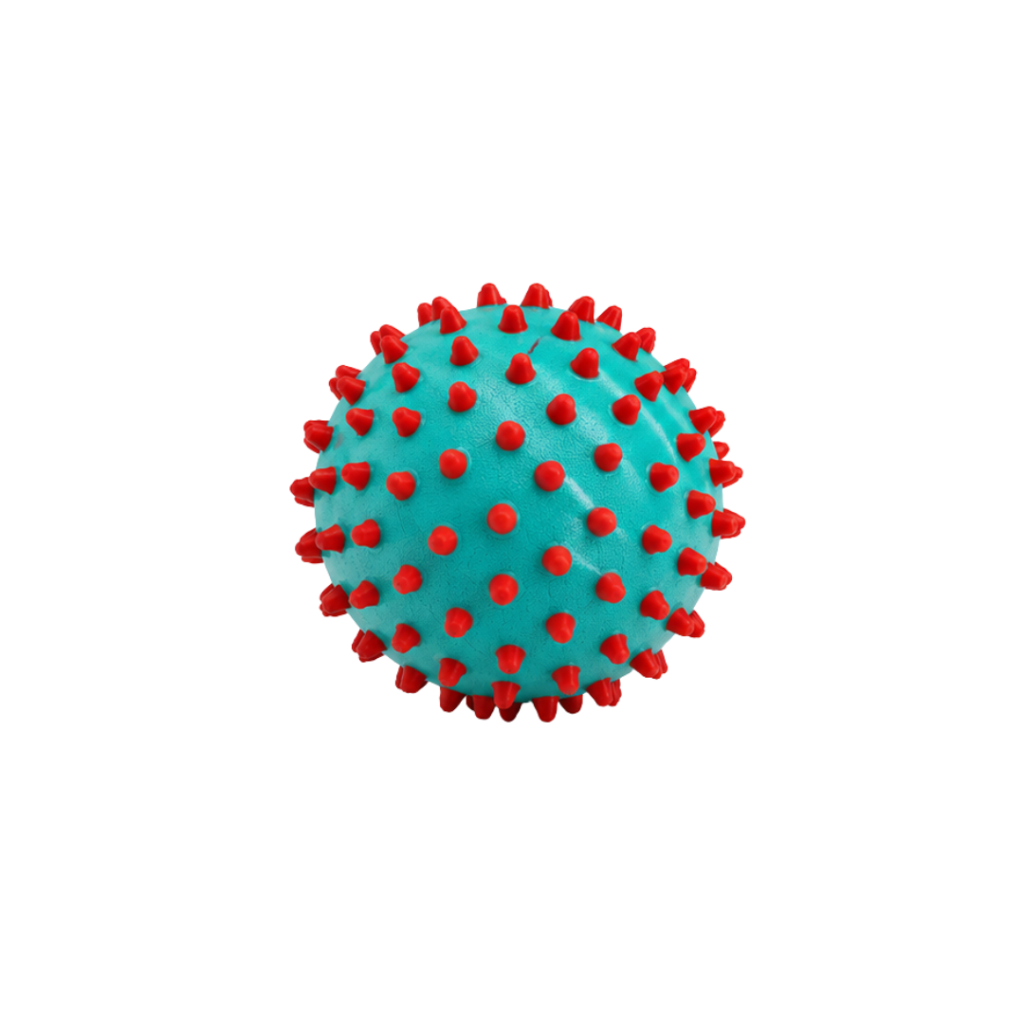 Senso-Dot Balls - Edushape 1 stk. 10 cm. turkis