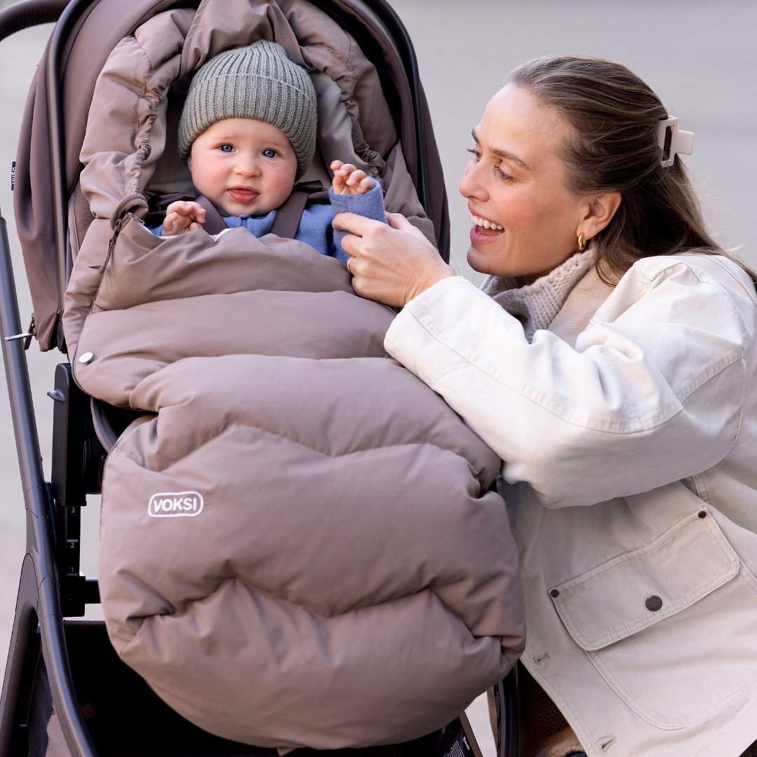 voksi explorer walnut 2026