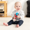 Baby Einstein Shake and Groove Maracas