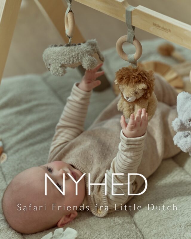 💛Nyhed hos DearBaby💛

Mød de søde Safari Friends fra Little Dutch🦩🦒🐘🦁

De bløde safari-venner er klar til masser af kram, tryghed og små eventyr – både hjemme, på farten og ved sengetid. Med deres bløde materialer og charmerende udtryk er de hurtigt svære at undvære for de mindste.

Hvilken Safari Friend er din favorit?🦩🦒🐘🦁👇🏼